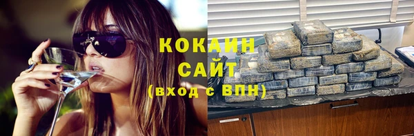соль ск Белокуриха